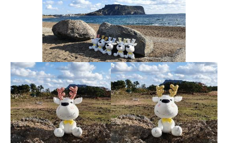 제주 상징꽃 디자인과 결합된 한라산 백록 꽃사슴  <바이루> 캐릭터 관광 상품화 